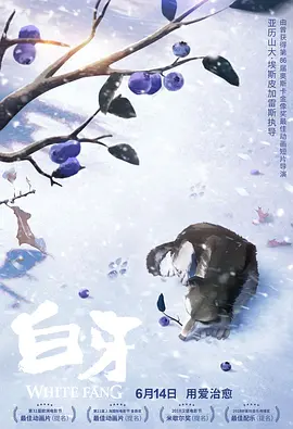 情侣调教vk